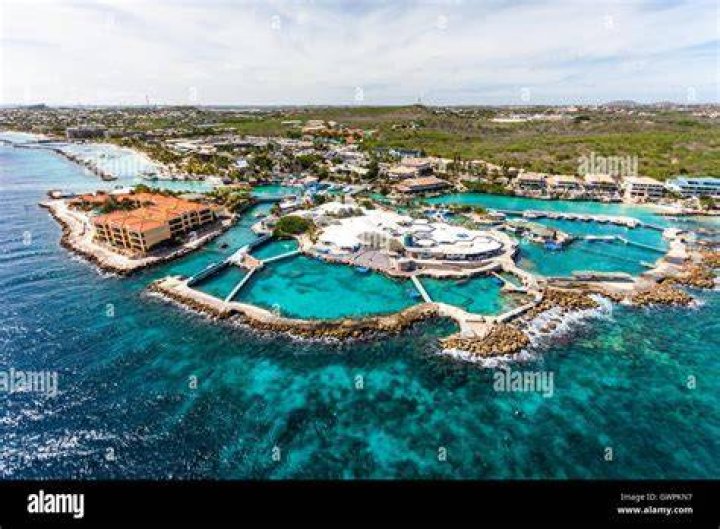5 Amazing Countries Curacao Seaquarium
