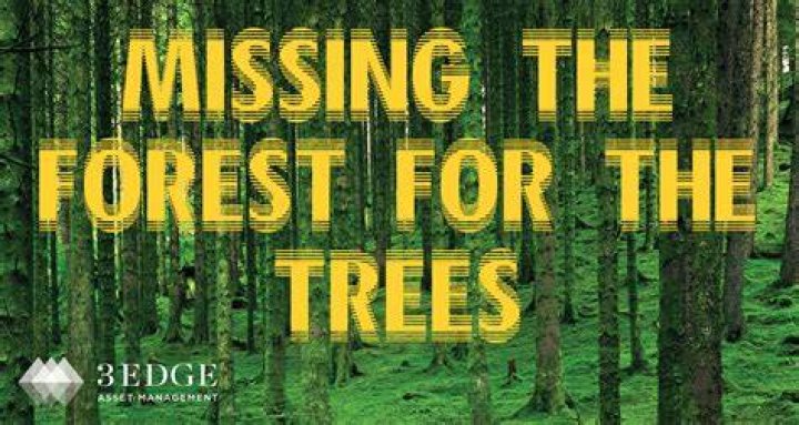 A forest with missing trees