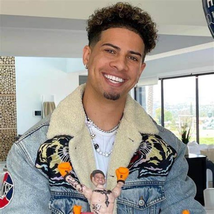 Austin Mcbroom wiki