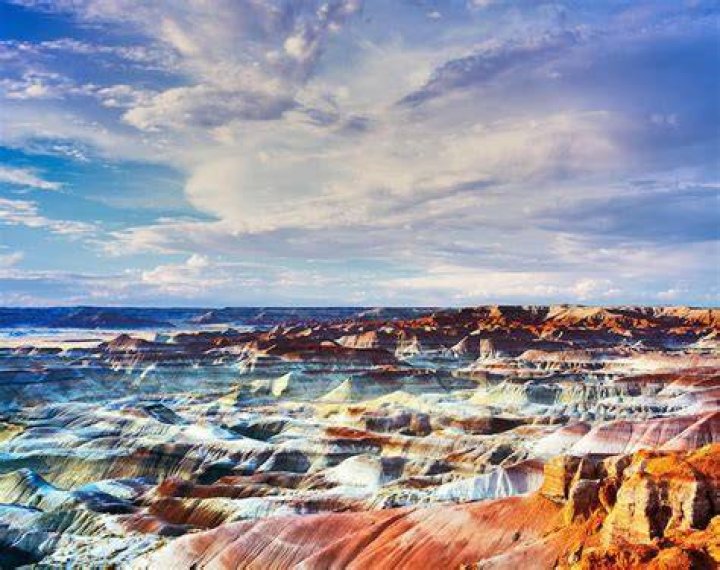 Best Road Trips Painted Desert