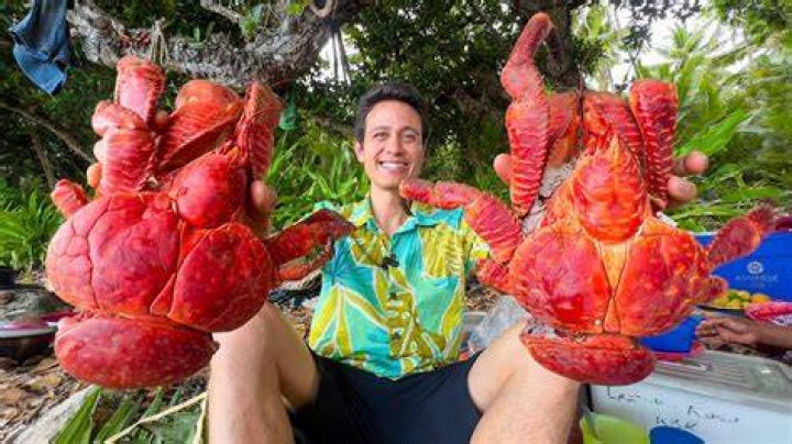 Can You Eat Coconut Crabs
