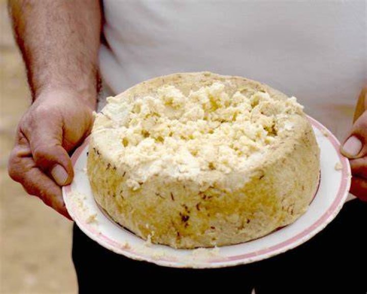 Casu Marzu In Sardinia