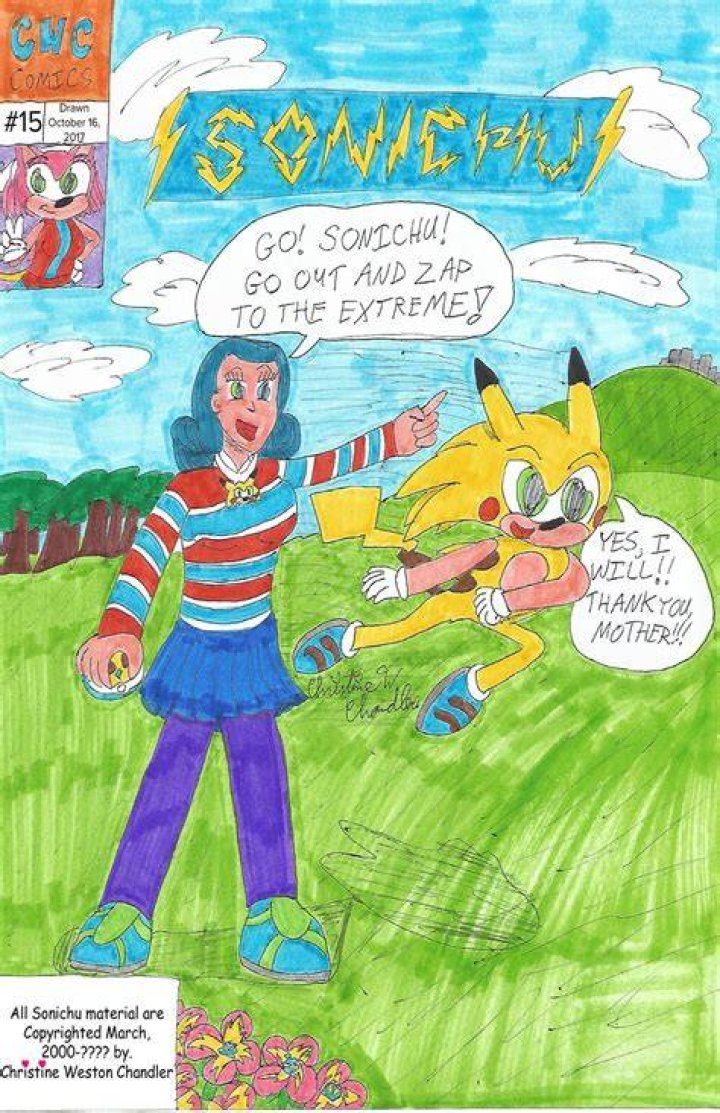 Chris Chan is a comic book artist