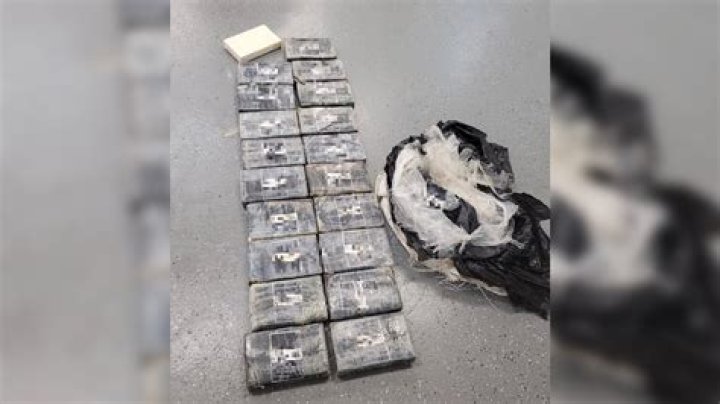 Cocaine Bricks And Incinerator
