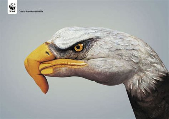 Creative Ads World Wildlife Federation