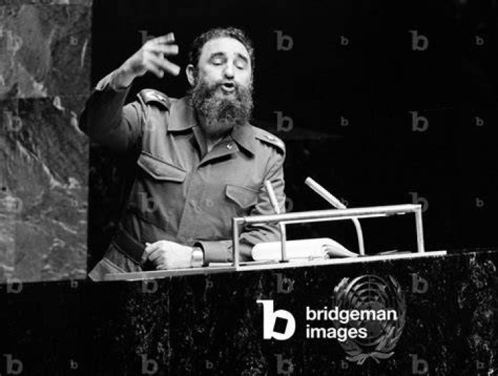 Defeated Fidel