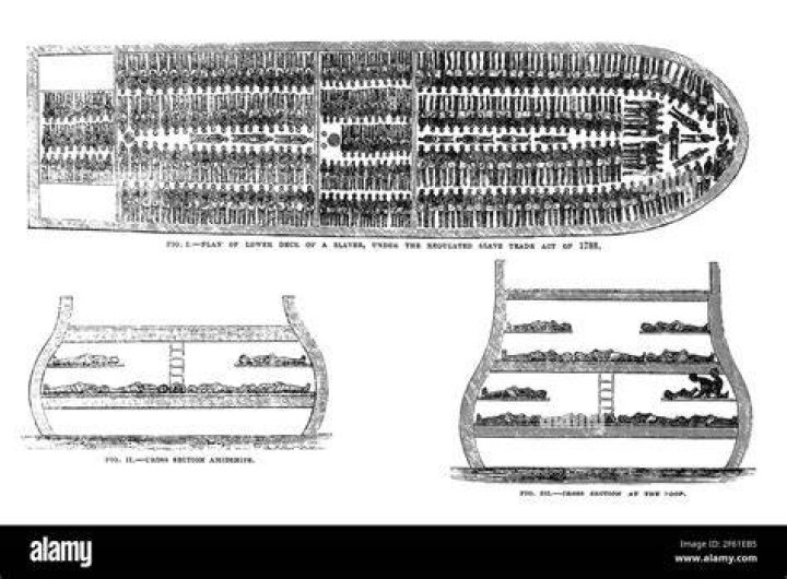 Diagram Of Slave Ship