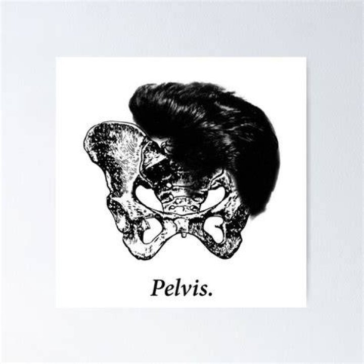 Elvis The Pelvis