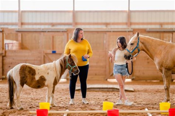 Equine Therapy