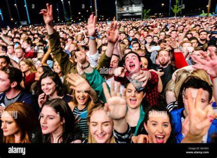 Excited Crowd