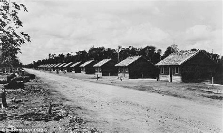 Fordlandia Houses