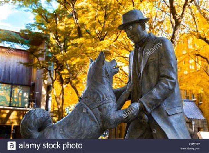 Hachiko And Ueno Statue