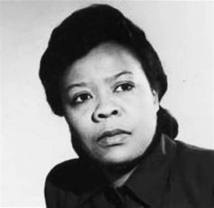 How Marie Van Brittan Brown Pioneered The Home Security System