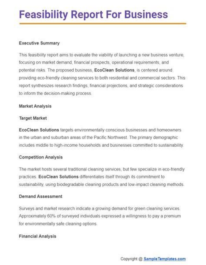 How to write a feasibility report sample