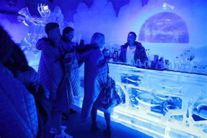 Ice Bars New York Fur Couch