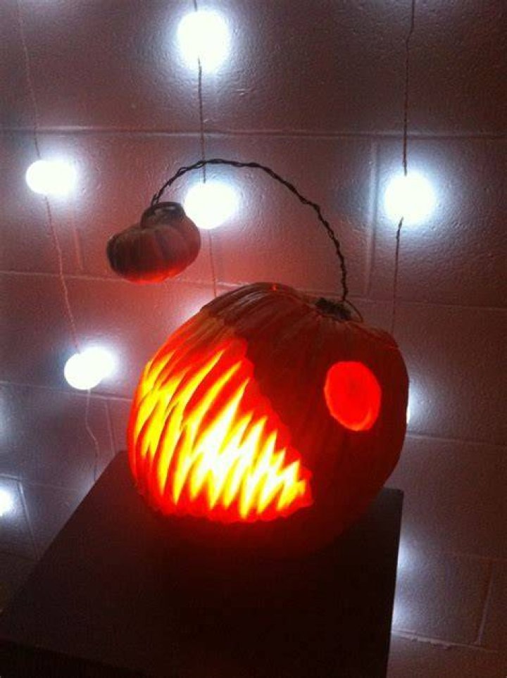 jack-o-lantern-fish Jack-O-Lantern Angler Fish