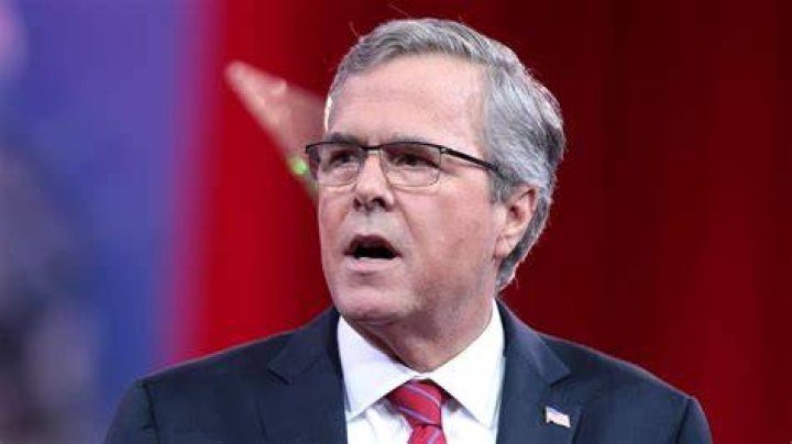 Jeb Bush