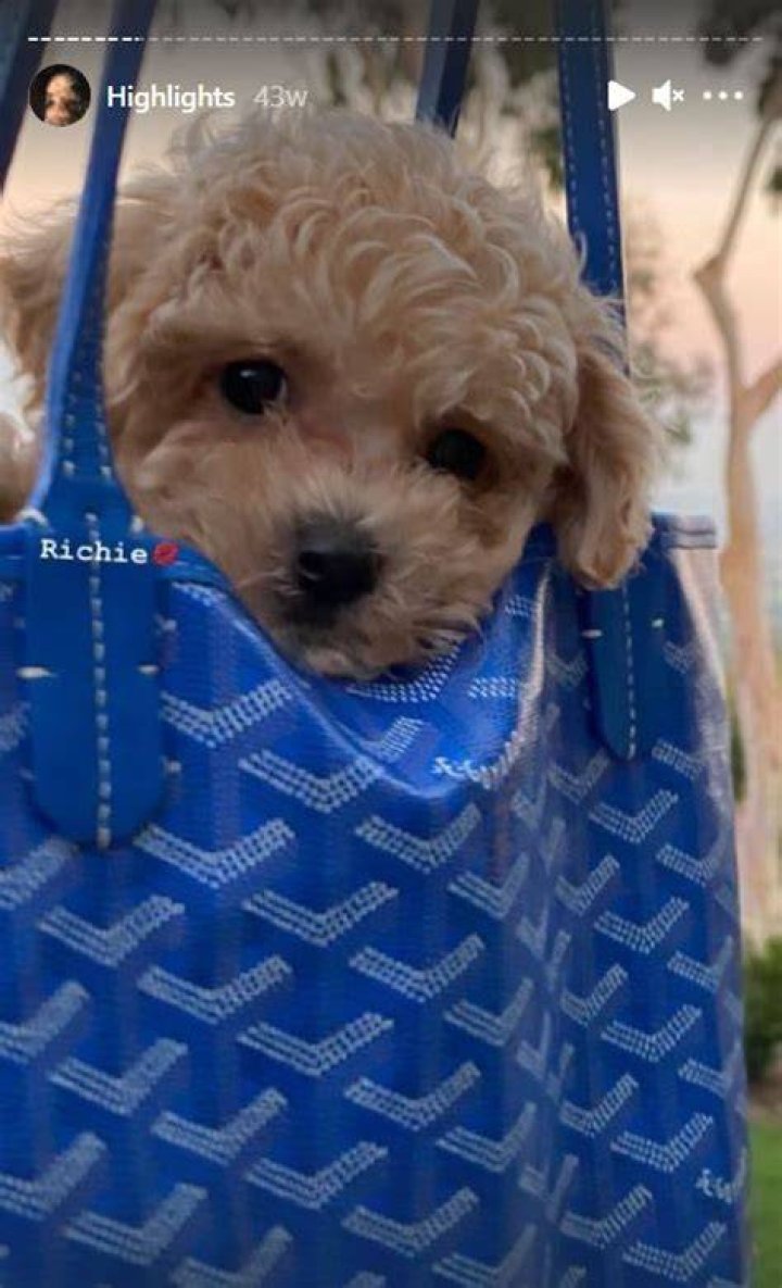 Katarina Deme pet dog Richie