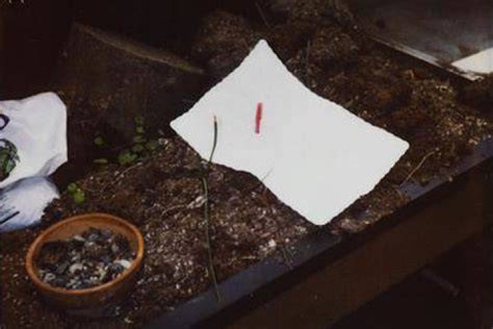 Kurt Cobain Death Photos