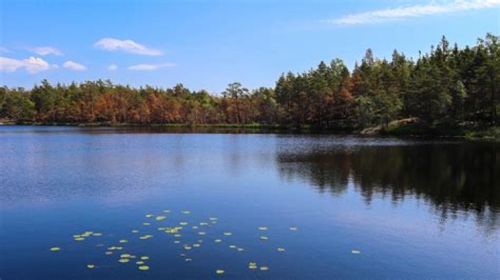 Lake Neuchâtel
