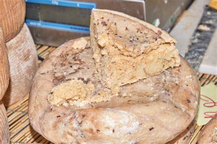 Maggot Cheese