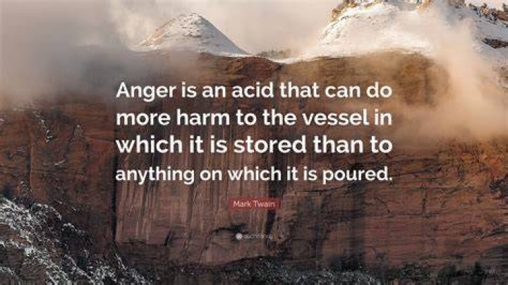 Mark Twain Quote About Anger