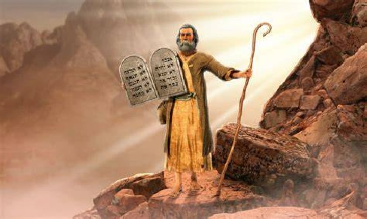 Moses played the role of Walker in The Walking Dead