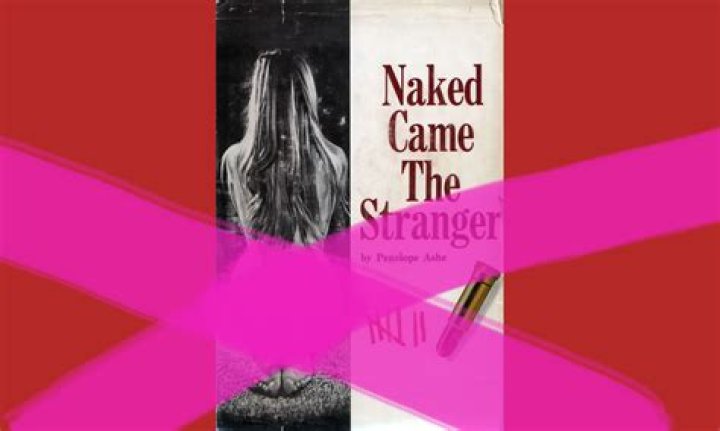 Naked Came The Stranger Book Jacket