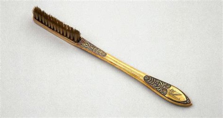 Napoleon Toothbrush Gold Handle