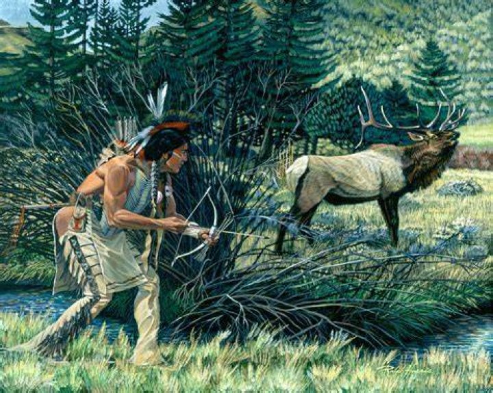 Native Americans Hunting