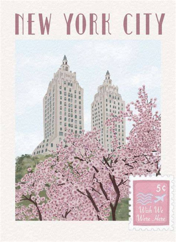 New York Pink Room