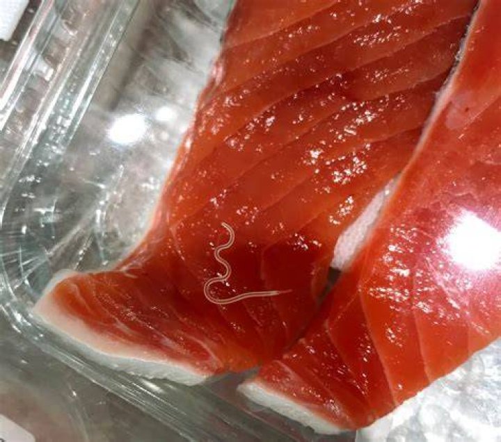 Parasites Fish