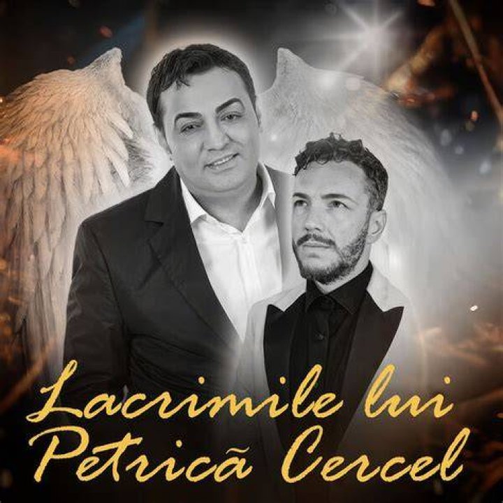 Petrica Cercel released various songs such as Cunosc viata de jos, Ai copii ai bucurii, Cine face legile la mine in familie, Vali vijelie instrumentala