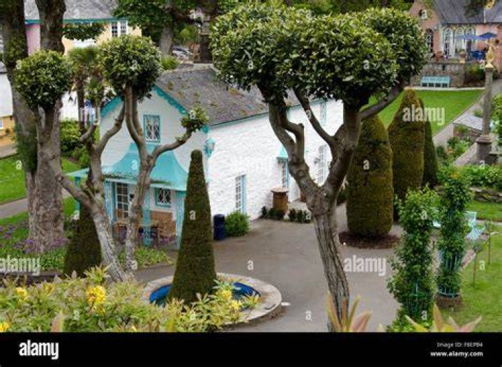 Portmeirion Trees