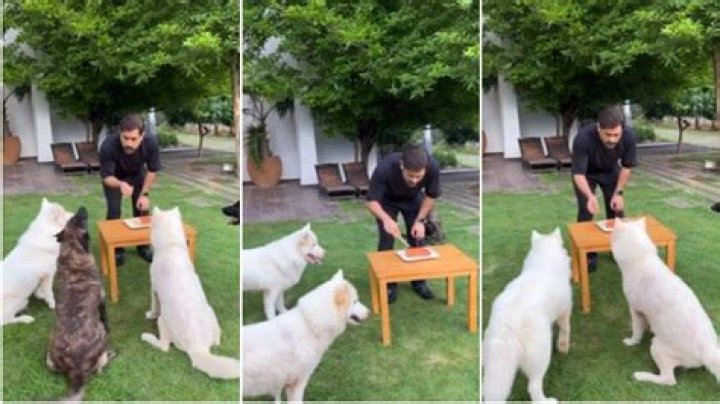Ranveer with his pet dogs