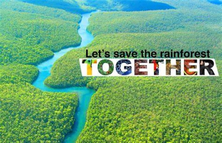 Save The Rain Forest