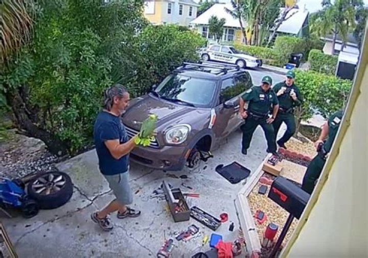 Sheriffs Responding To Parrot 911 Call