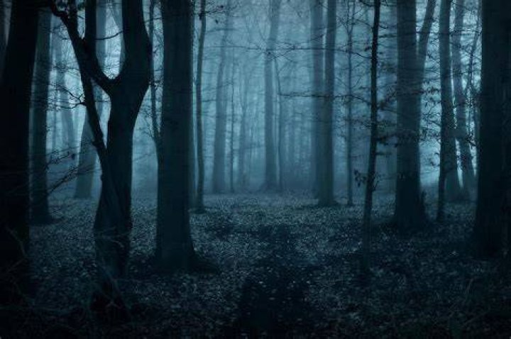 Slender Man In The Woods