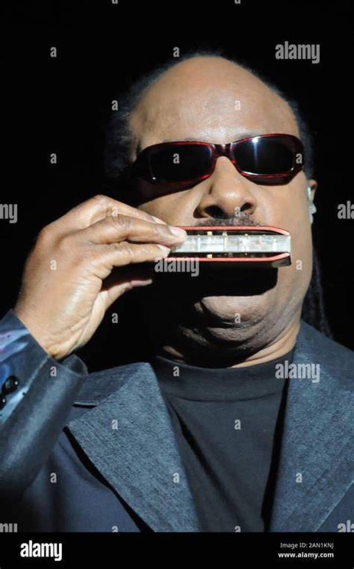 Stevie Wonder
