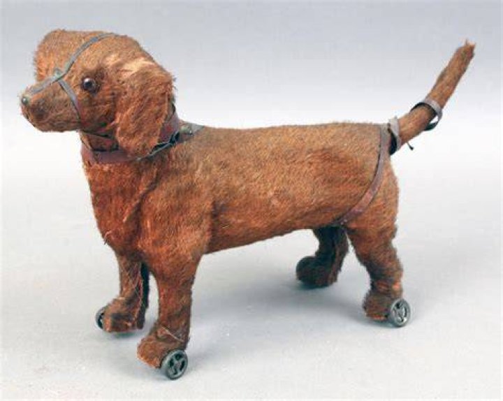 Study Of Roman Toy Dog