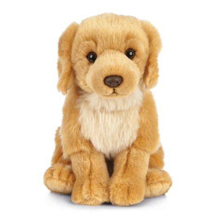 Stuffed Dog