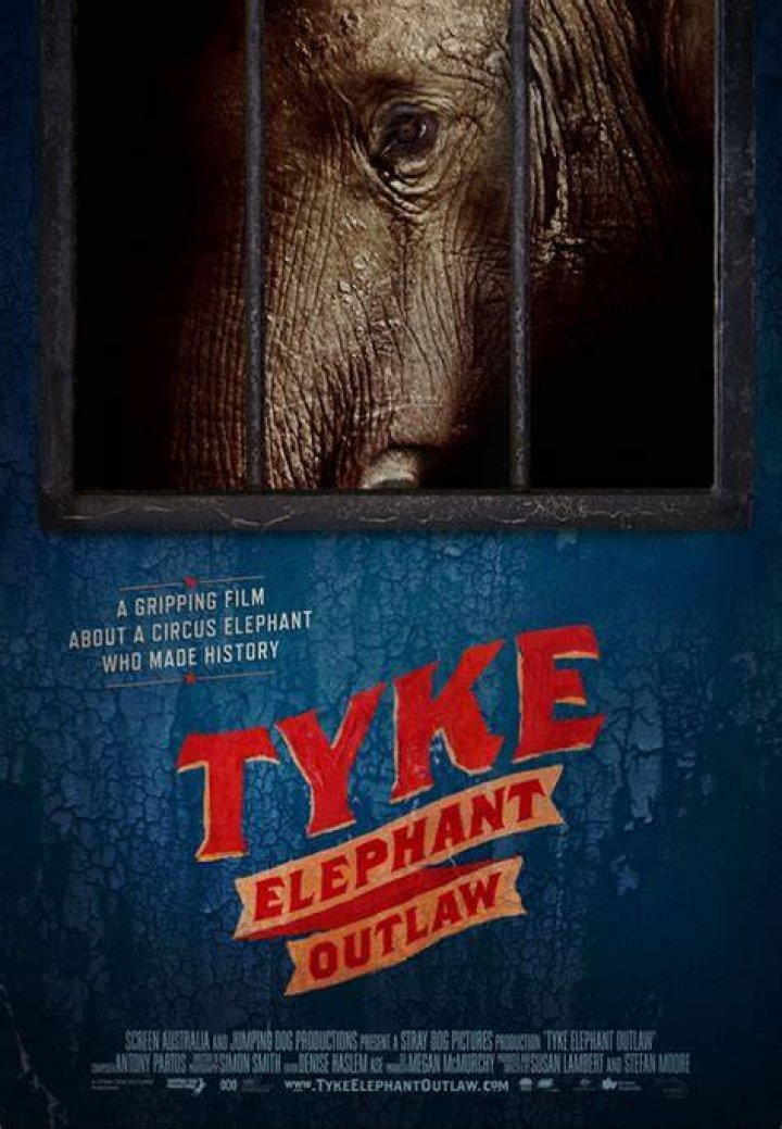 Tyke Elephant