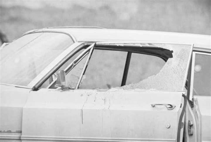 Viola Liuzzo Car