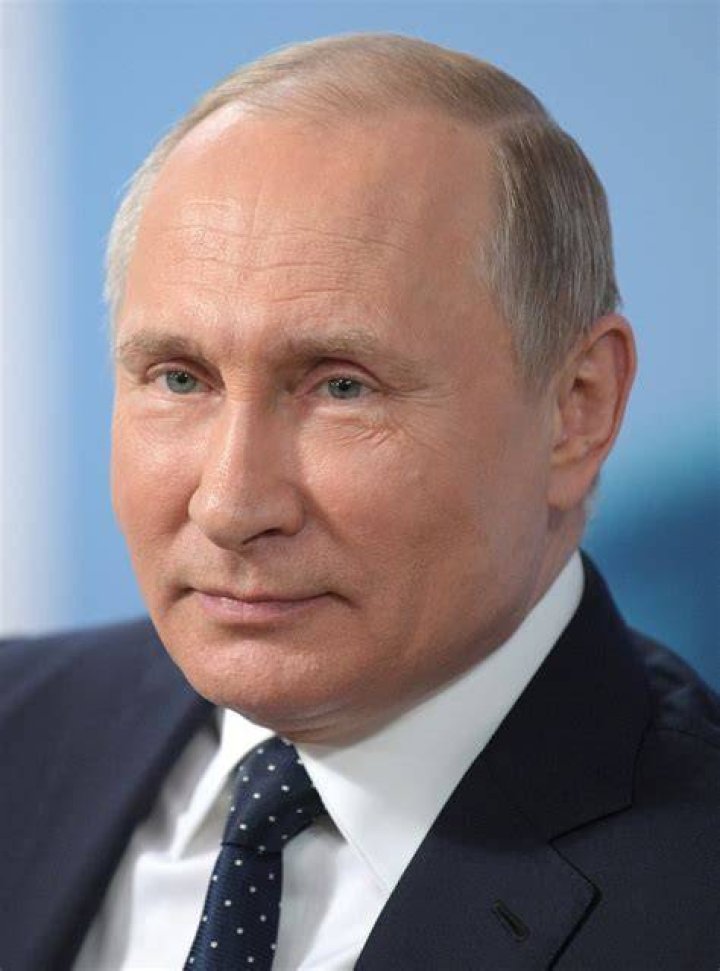 Vladimir Spiridonovich Putin wiki