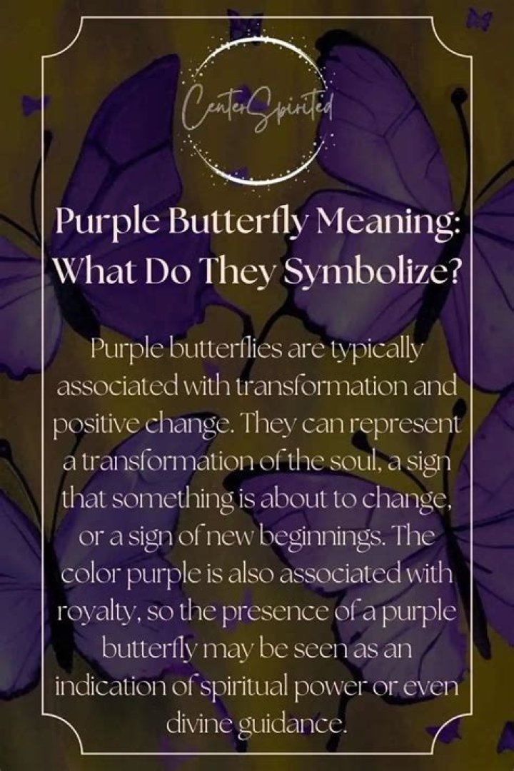 What does the Purple Butterfly Meme mean explained?