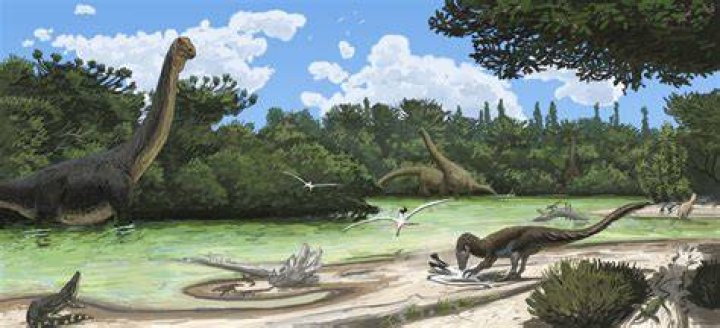 Winton Formation