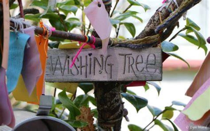 Wishing Trees Pictures