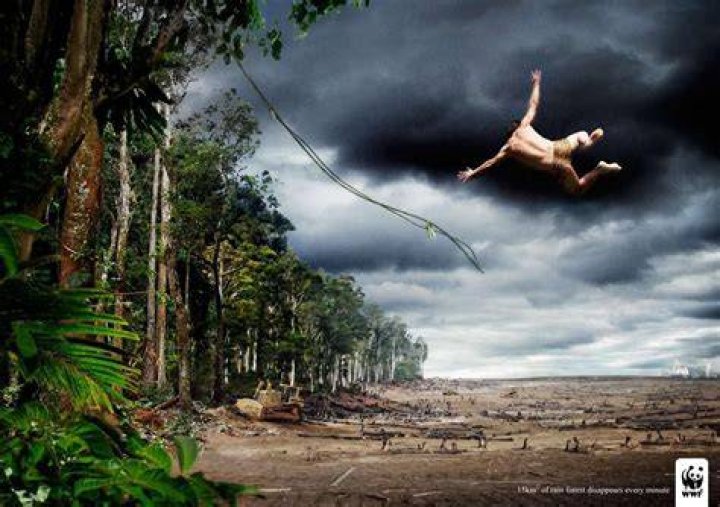 WWF Rain Forest Advertisement